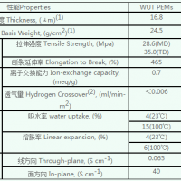 復合膜（Composite PEM）圖片1